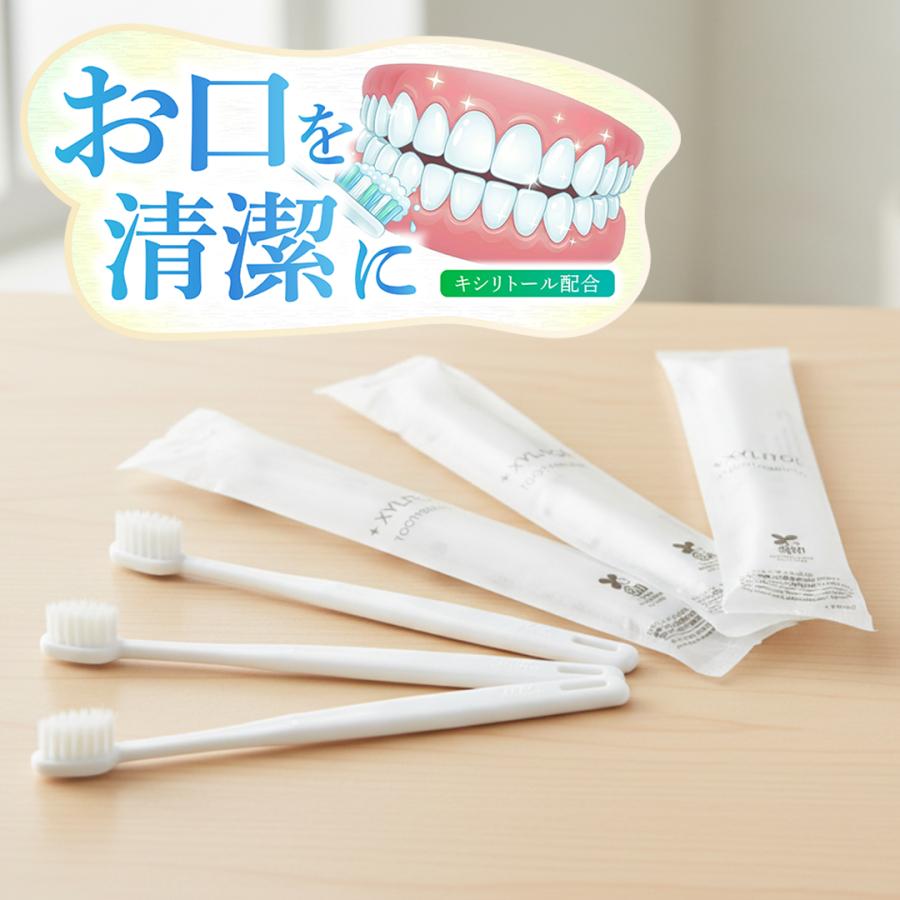 ハブラシ キシリトール配合 業務用 1600本 Re:lux インスタント ハミガキ粉付き XYLITOL 歯ブラシ 個包装 使い捨て 400個入り×4箱_8