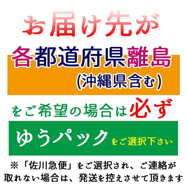 ペペローション 360ml クールミント ★メントール配合★ 【エステ店・マッサージ店で活躍】定番 人気 安い 潤滑 有名 コスパ ひんやり PEPEE LOTION ペペ360｜nuljapan｜13