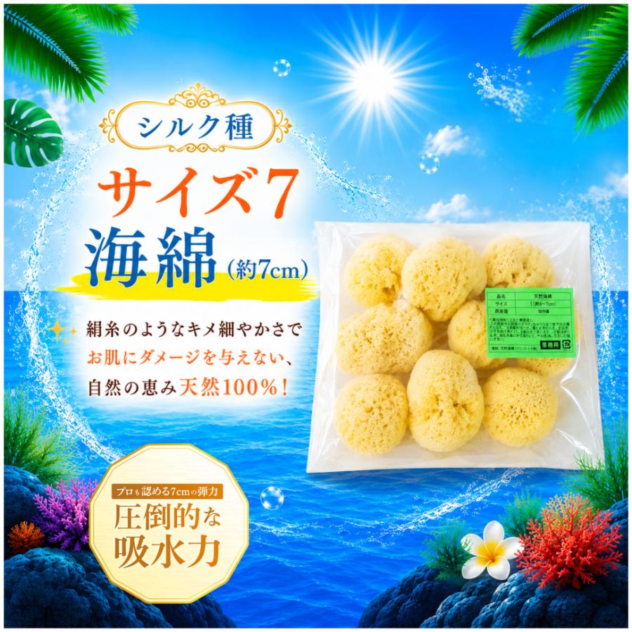 天然大海綿 クリーム色 約15cm 【公式通販】