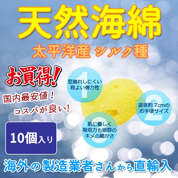 天然大海綿 クリーム色 約15cm 【公式通販】