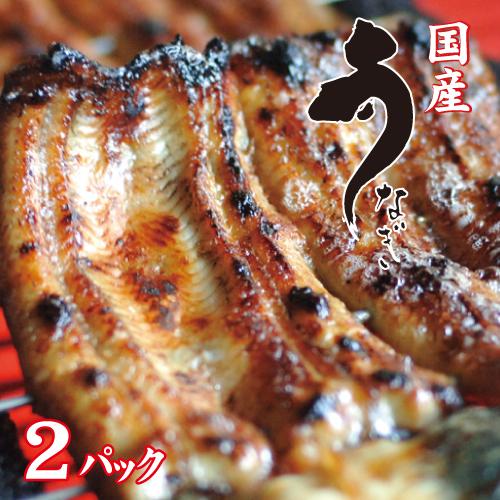 お値打ちサイズ　国産鰻蒲焼２パック　手焼き　送料無料　冷蔵クール便　ギフト　お祝い　誕生日　贈りもの | 