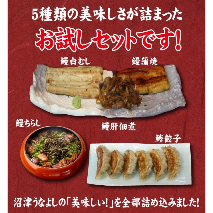 ５種類お試しセット　国産鰻　きざみ鰻・お値打ちサイズ蒲焼・お値打ちサイズ白むし・きも佃煮・鯵餃子　白焼き　送料無料 | 