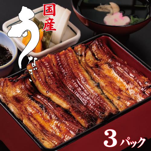 お値打ちサイズ　国産鰻蒲焼３パック　手焼き　送料無料　冷蔵クール便　ギフト　お祝い　誕生日　贈りもの | 