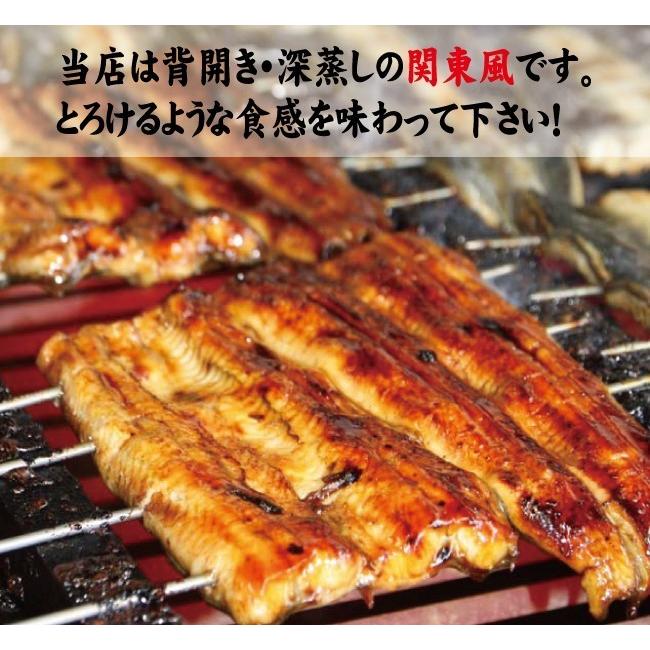 お値打ちサイズ　国産鰻蒲焼５パック　手焼き　送料無料　冷蔵クール便　ギフト　お祝い　誕生日　贈りもの |  | 02