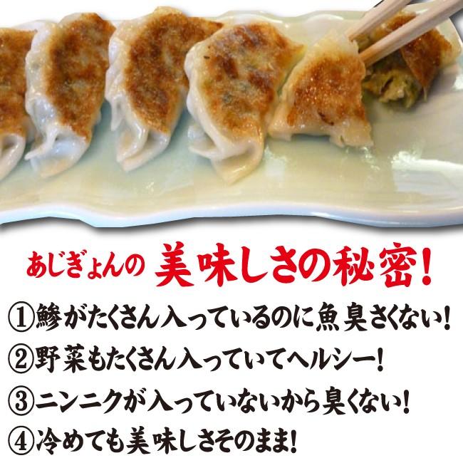 ヘルシー鯵餃子（あじぎょん）１５個　送料無料　冷凍クール便｜numazu-unayoshi｜02