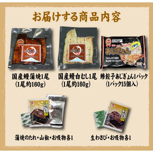 蒲焼・白むし・鯵餃子の３種類　蒲焼１尾・白むし１尾・あじぎょん１５個　冷凍クール便　送料無料　国産うなぎ　白焼き　ギフト　お祝い　誕生日　贈りもの |  | 10