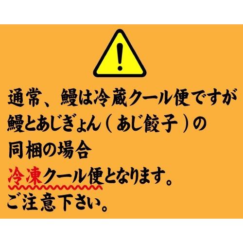 蒲焼・鯵餃子の２種類　蒲焼２尾・あじぎょん１５個　送料無料　国産うなぎ　手焼き　冷凍クール便 |  | 08