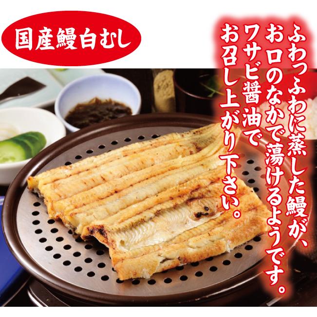 うなよしの４種類セット　蒲焼１尾・白むし１尾・きも佃煮１００ｇ・鯵餃子１５個入り　白焼き　送料無料　冷凍クール便　国産うなぎ　ギフト |  | 04