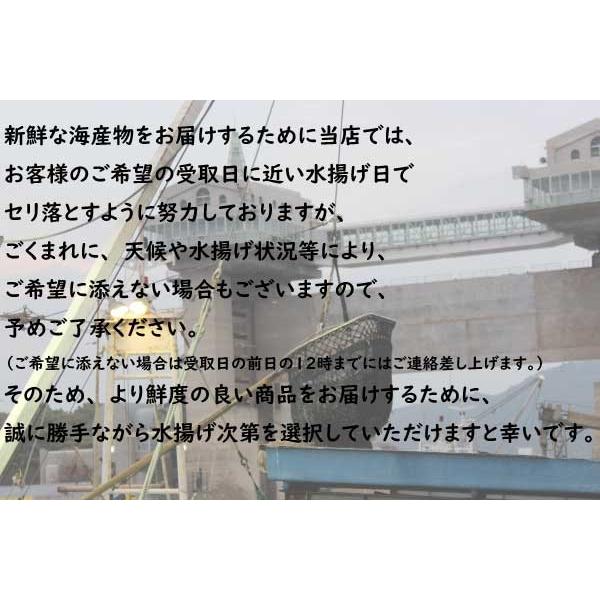 300グラム保証 丸ごと一匹アカハタ アカギ 静岡県産 お刺身 煮付 業務用に 沼津港 魚健 通販 Yahoo ショッピング