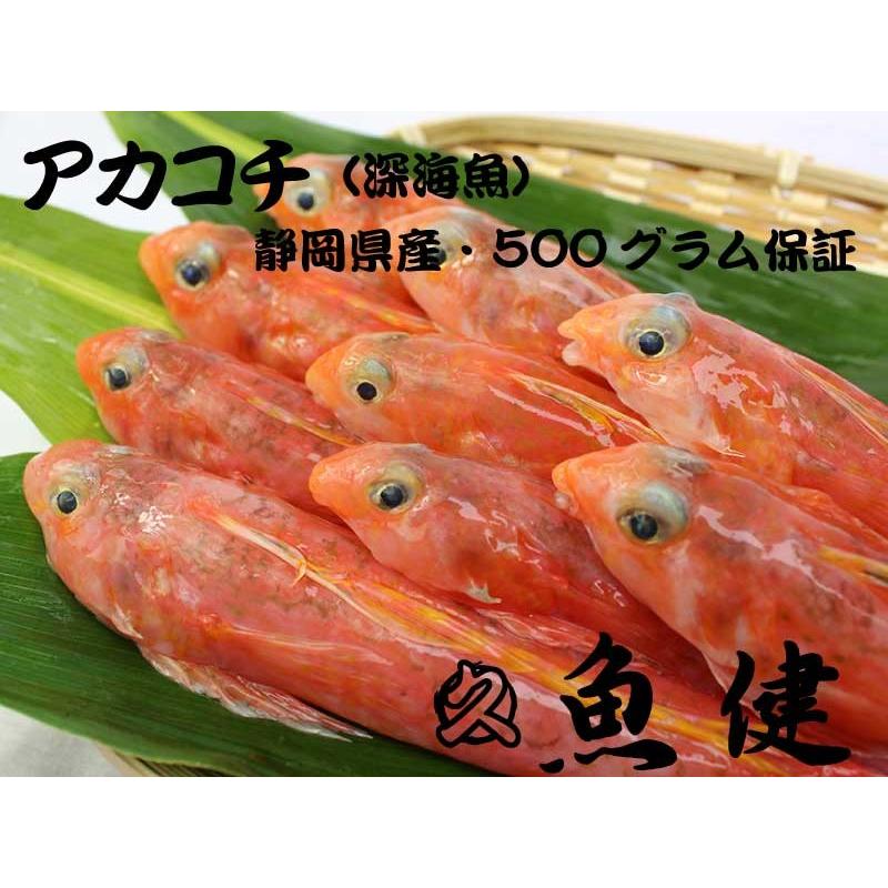 500グラム保証 アカコチ 静岡県産深海魚 揚げ物 煮付 業務用に 沼津港 魚健 通販 Yahoo ショッピング