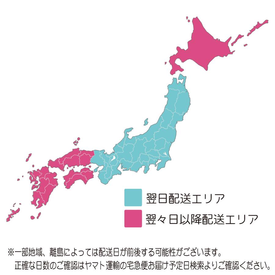 オランダ水牛 はんこ 印鑑 ケース付き 朱肉付き 追加料金0円 16 オランダ水牛 はんこ 印鑑 ケース付き 朱肉付き 追加料金0円 16