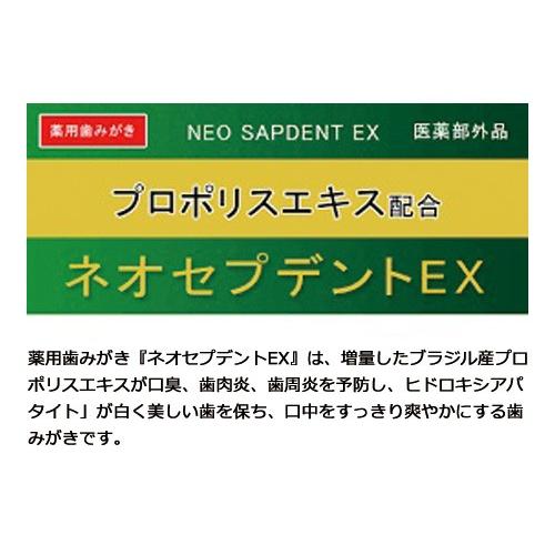 歯磨き粉　プロポリス　ネオセプデントEX 森川健康堂｜nunokame-99box｜03