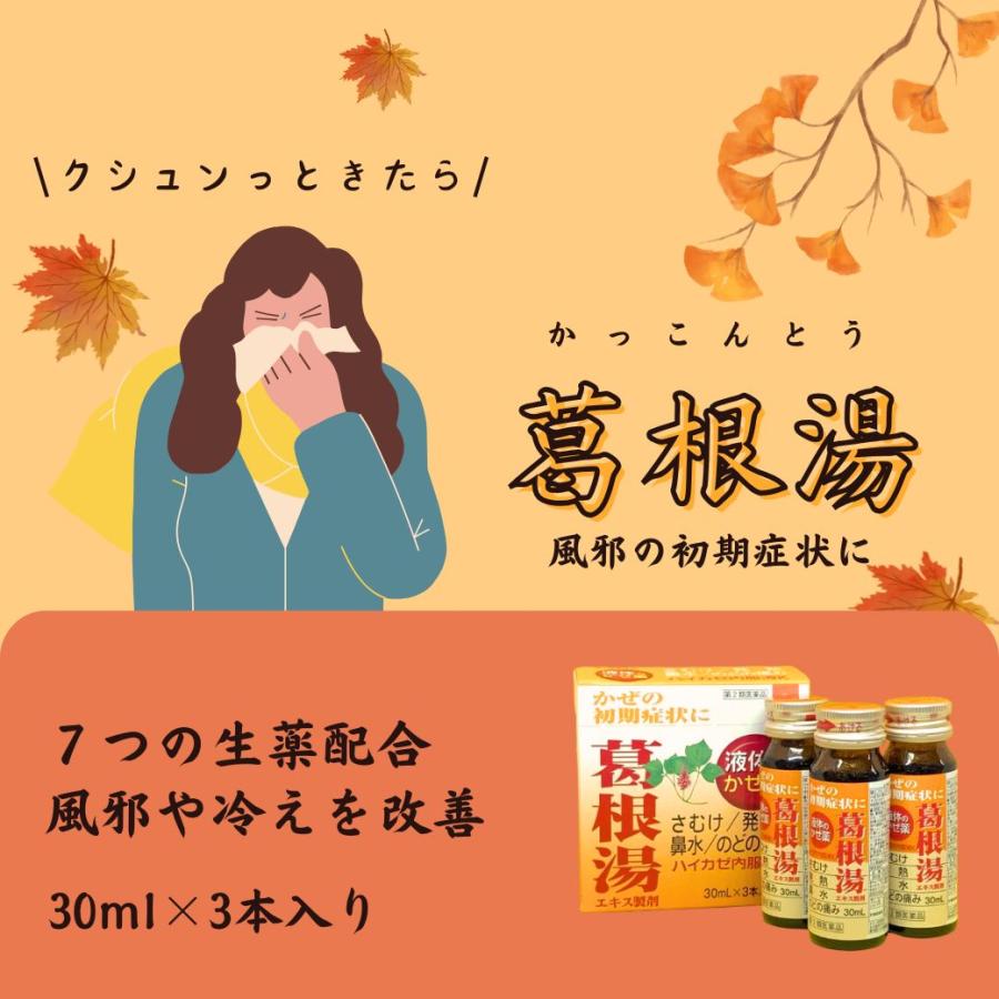 飲み薬 漢方 風邪薬 廣貫堂 葛根湯 ハイカゼ内服液K 30ml×3本 満量処方