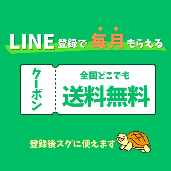 飲める米糠 5g×30袋入 米ぬか 飲む 粉末 自然 健康 美容 米 玄米 無