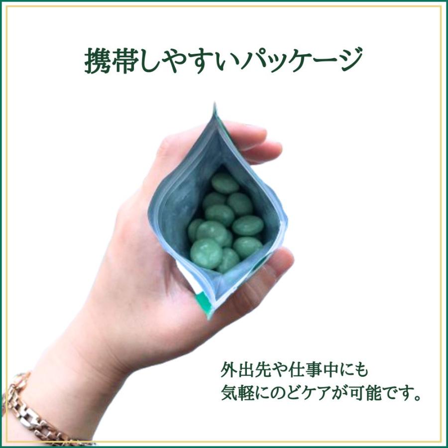 のど飴 あめ 甲子園のど飴 天然ハーブ 桔梗 プロポリス エキナセア