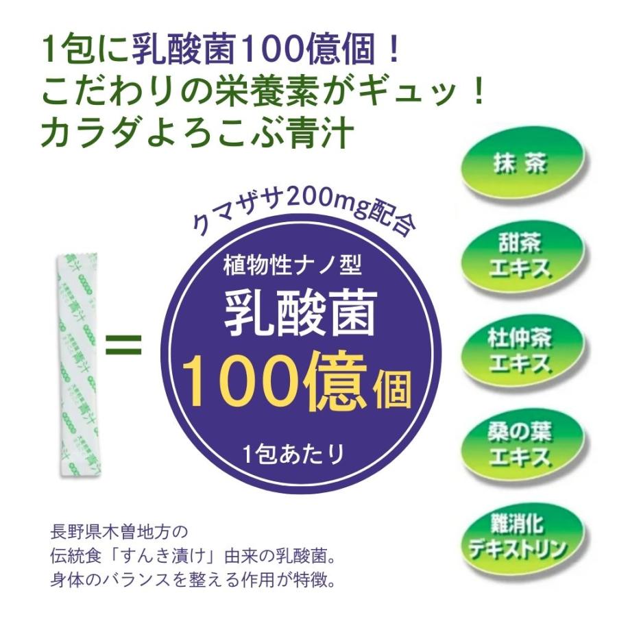 大麦若葉 2箱セット まるごと青汁 スティック 粉末 乳酸菌 100億 大麦若葉 2箱セット まるごと青汁 スティック 粉末 乳酸菌 100億
