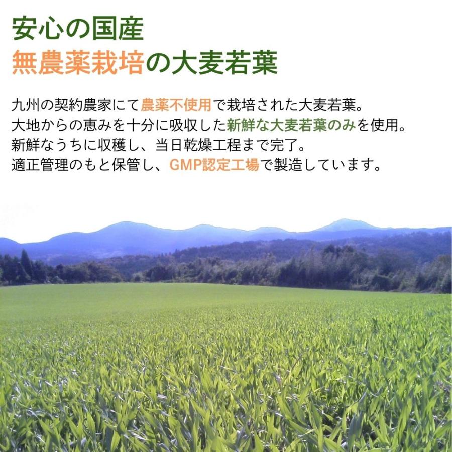 大麦若葉 2箱セット まるごと青汁 スティック 粉末 乳酸菌 100億 大麦若葉 2箱セット まるごと青汁 スティック 粉末 乳酸菌 100億