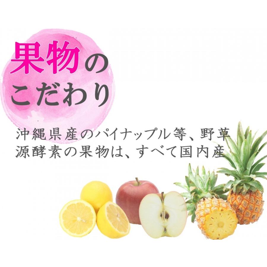 酵素 フジスコ 補酵素のちから 1800ml （3本セット） 爆買 : 布亀Yahoo