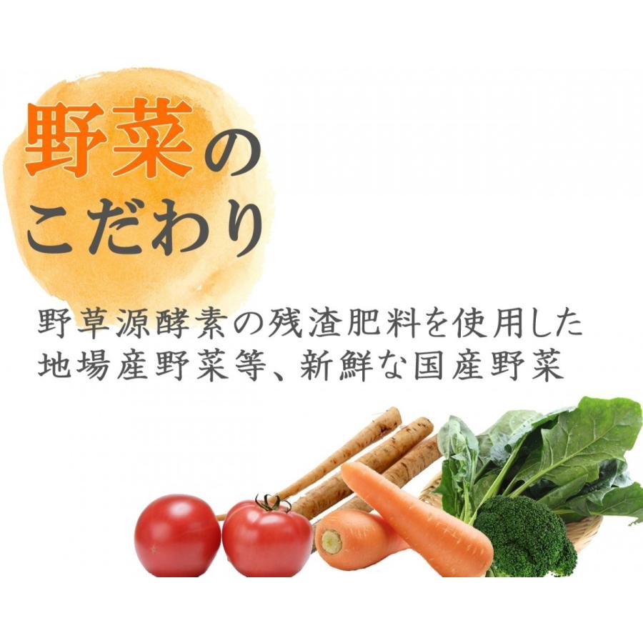 酵素 フジスコ 補酵素のちから 1800ml （3本セット） 爆買 : 布亀Yahoo
