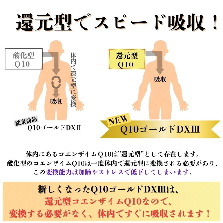 Q10ゴールドDXIII 還元型コエンザイムQ10 サプリメント 機能性表示食品