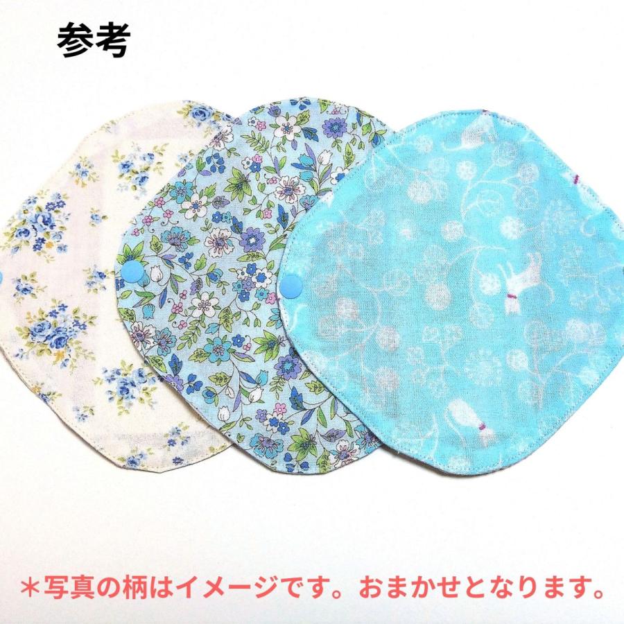 布ライナーS 3枚セット オーガニック おりもの用 パンティライナー人気 布ナプキン 柄は選べません 送料無料 お買い得 セール |  | 02
