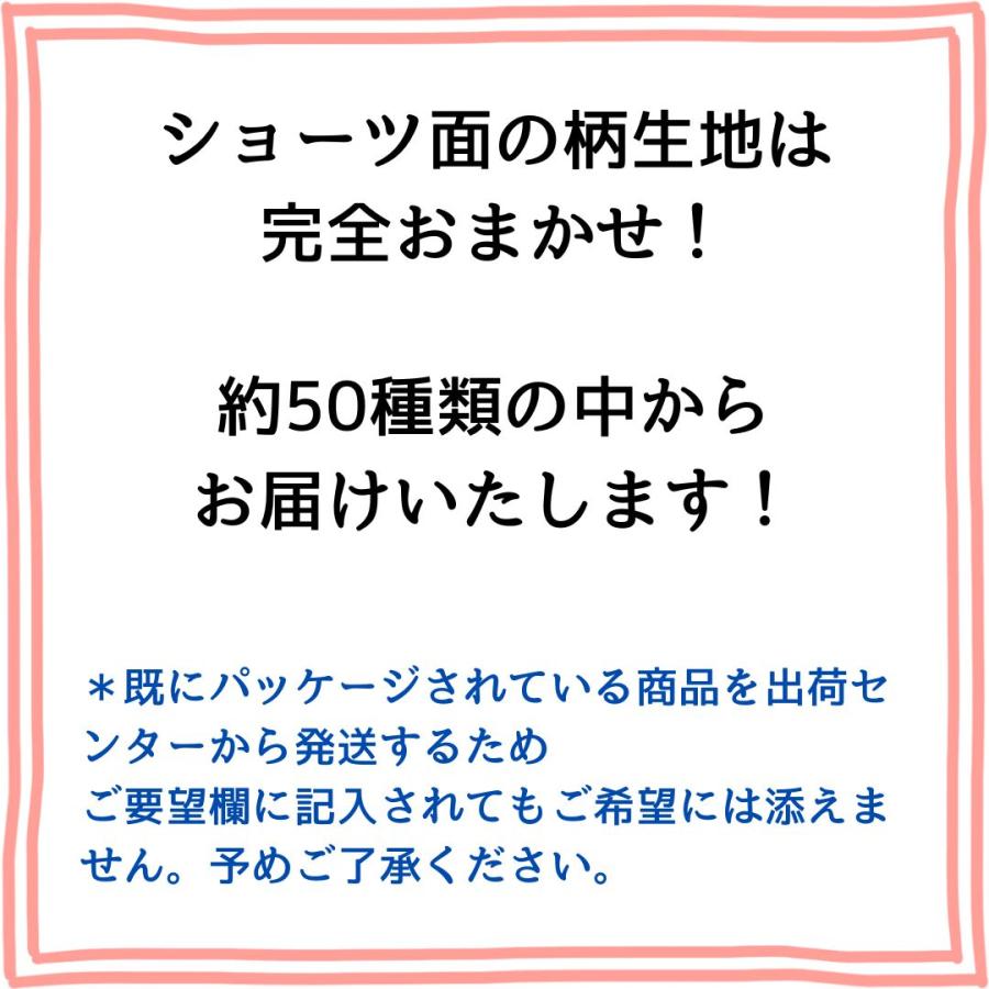 布ライナーS 3枚セット オーガニック おりもの用 パンティライナー人気 布ナプキン 柄は選べません 送料無料 お買い得 セール |  | 05
