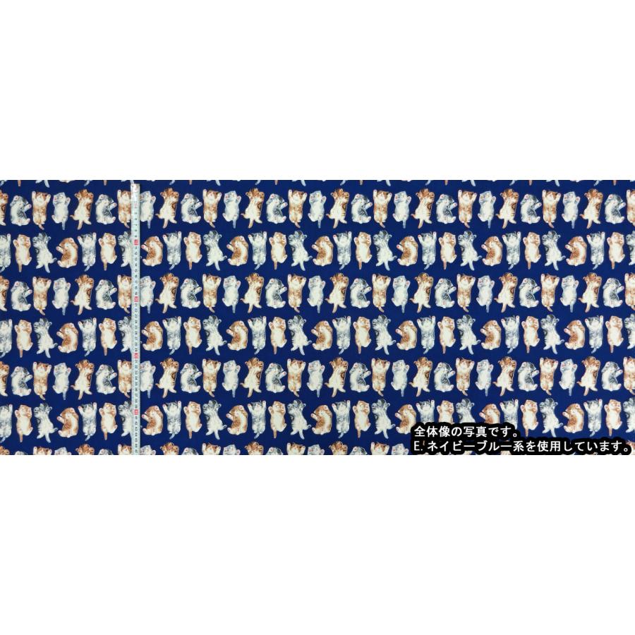 FUWARI 染布 オックス ゴロゴロにゃんこ サックスブルー系 5色 1m単位 生地 布 布地 ねこ 猫柄 動物 アニマル 男の子 女の子 オックスフォード 北欧 北欧風 20番｜nunontyu｜02