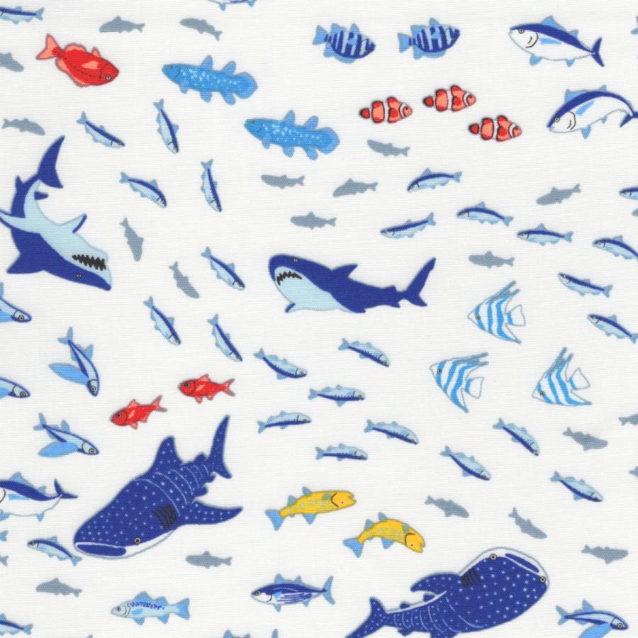 概要 閉じる 遺伝子 メルヘン 魚 苛性 インタビュー 小さな