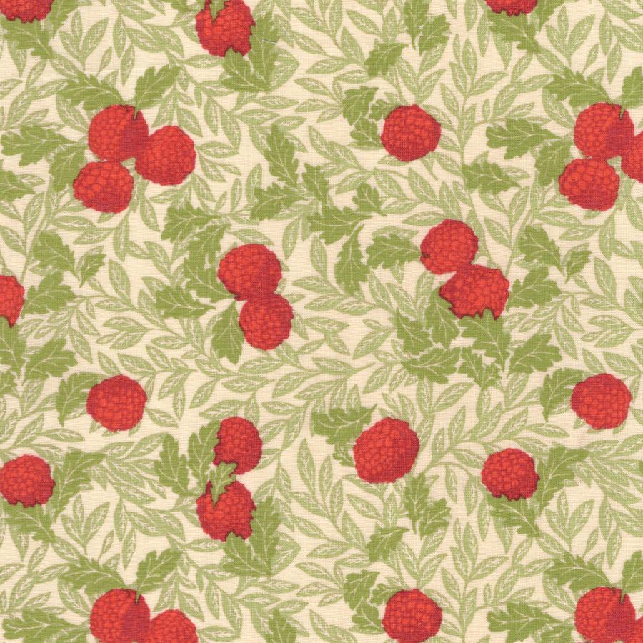 FUWARI 染布 スケアー ラズベリー ベージュ系地 5色 1m単位 生地 布