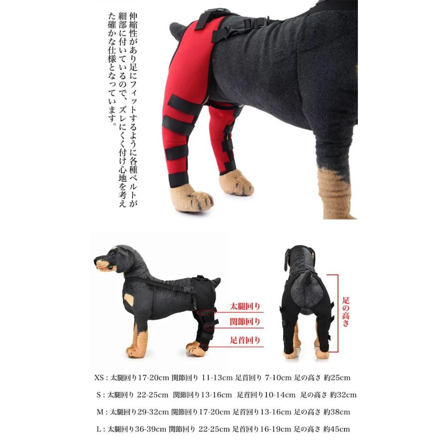 犬 用 関節プロテクター 後ろ足 用 膝 サポーター 関節保護 靭帯 保護 術後 治療 ペット用品  ペット服 h0372｜nunose｜03