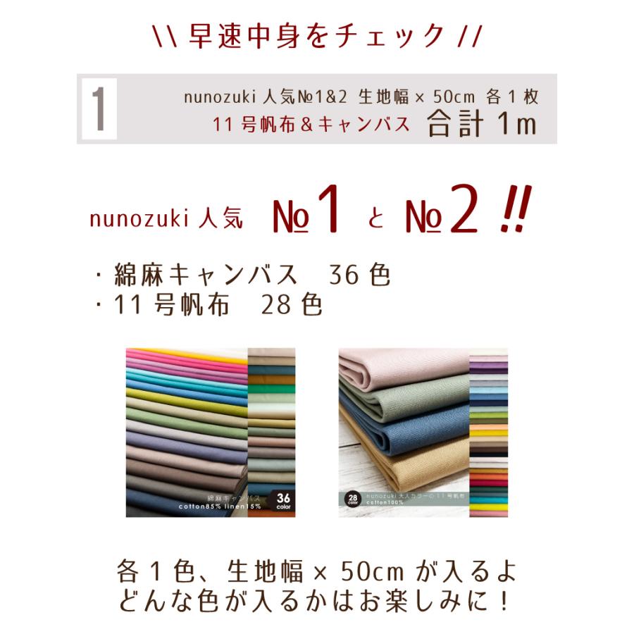 生地 福袋 2026 HAPPYBAG 11号帆布＆綿麻キャンバス！ 柄物