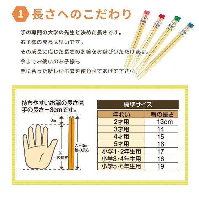 箸 持ち方 矯正 子供 マツコの知らない世界 しつけ箸 躾橋 矯正箸 六角知能ばし5才用16cm 青色 赤色 メール便可 104 塗箸 びん 通販 Yahoo ショッピング