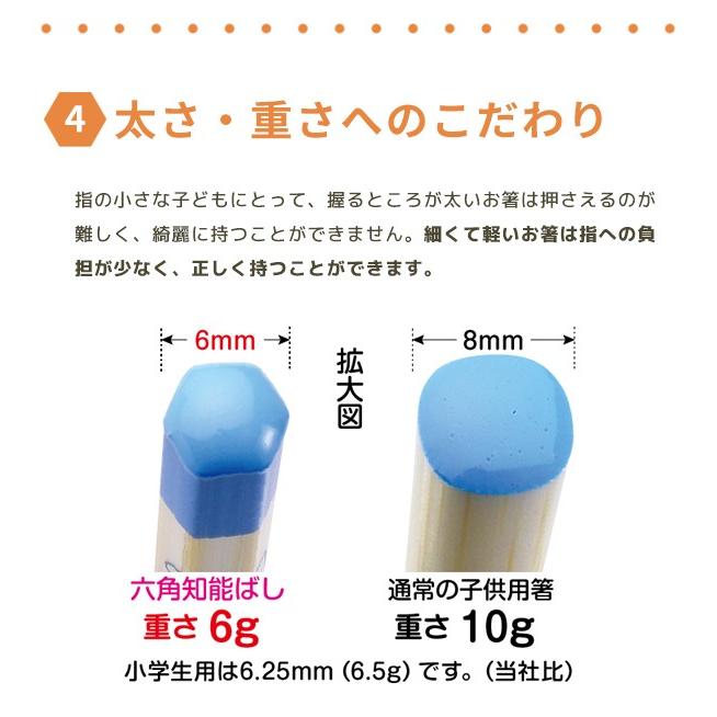 箸 持ち方 矯正 子供 マツコの知らない世界 しつけ箸 躾橋 矯正箸 六角知能ばし5才用16cm 青色 赤色 メール便可 104 塗箸 びん 通販 Yahoo ショッピング