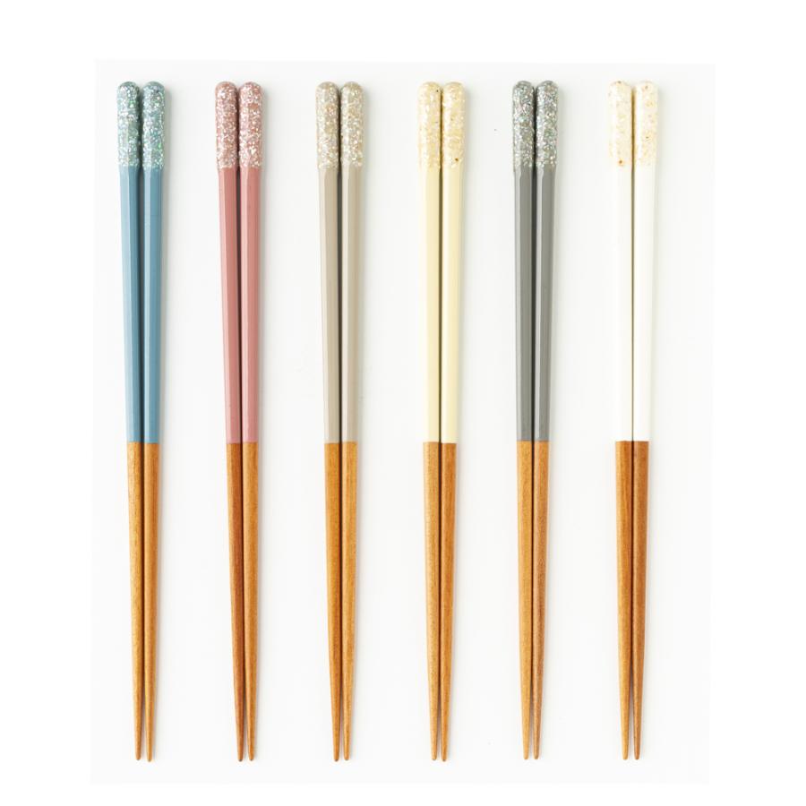 箸 塗箸 細身 若狭塗 食洗器対応 日本製 抗菌 RADEN＋ 22.5cm メール便