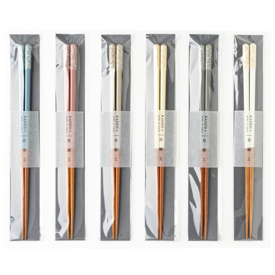 箸 塗箸 細身 若狭塗 食洗器対応 日本製 抗菌 RADEN＋ 22.5cm メール便