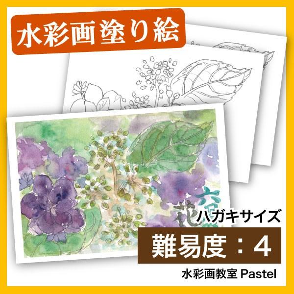 １着でも送料無料 塗り絵 水彩 絵ハガキ ６月の花 紫陽花 Inova Auto Com