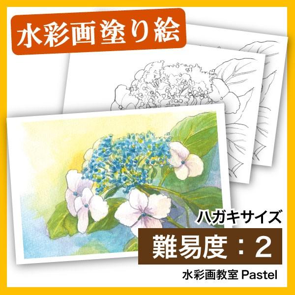 【塗り絵 水彩 絵ハガキ】紫陽花（ハガキ水彩）｜nurie-tsuhan