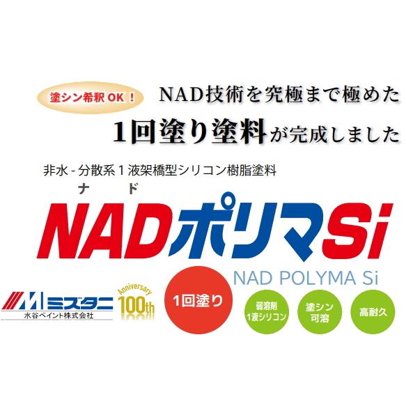 水谷ペイント NADポリマSi 各色 15kg ハイラジカル 非水分散系1 水谷ペイント NADポリマSi 各色 15kg ハイラジカル 非水分散系1