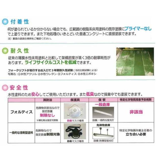 アトミクス フロアトップアクア フォルティス 各色 13.5kgセット