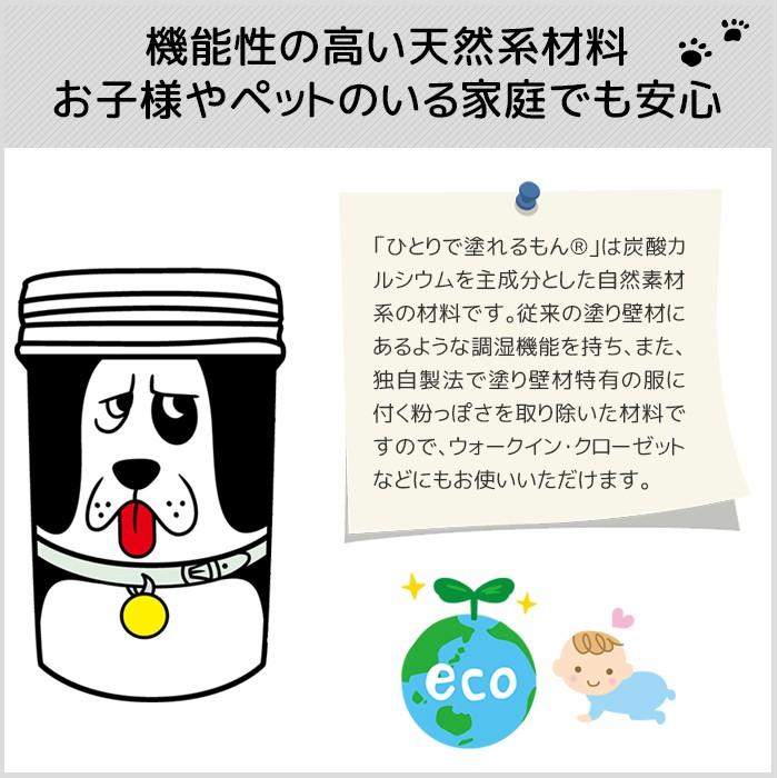 ひとりで塗れるもん 11kg 室内用塗り壁材 内装仕上げ材 漆喰 自然素材