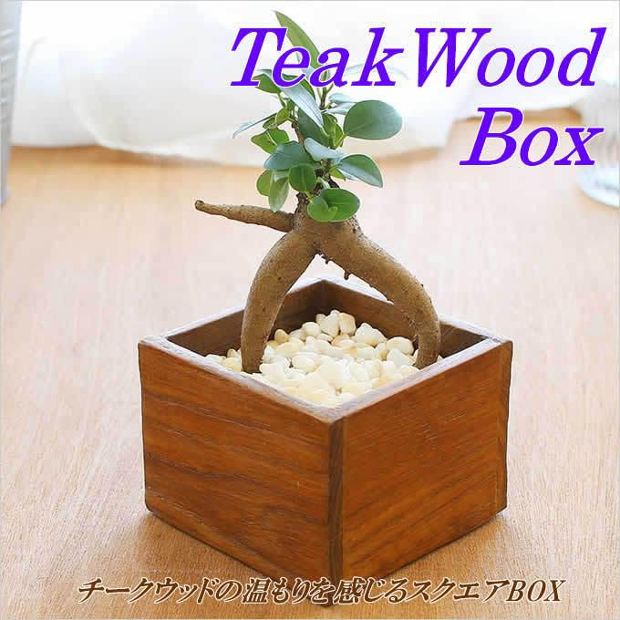 チークボックス 小物入れ BOX 収納 木 ウッド ミニ 小さい プラント