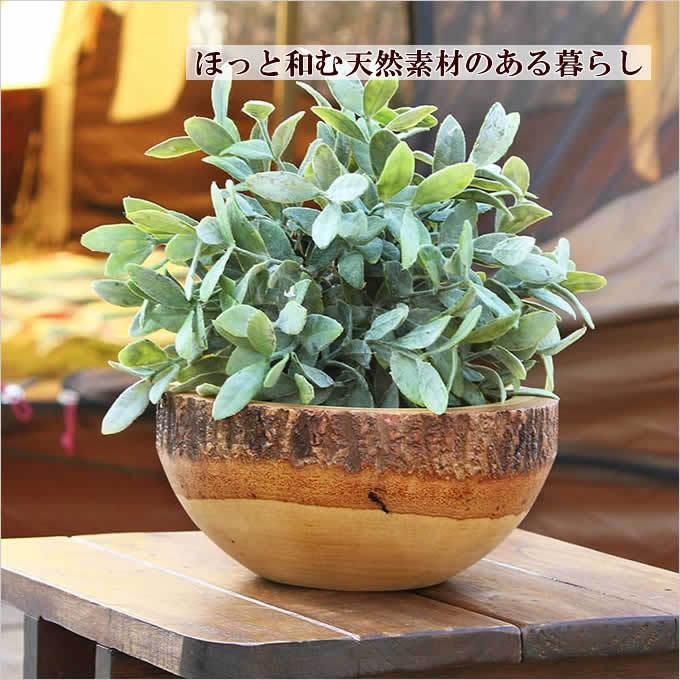 D-4 バールウッドボウル 木製 飾り鉢 ルートボウル 銘木 天然木 D-4