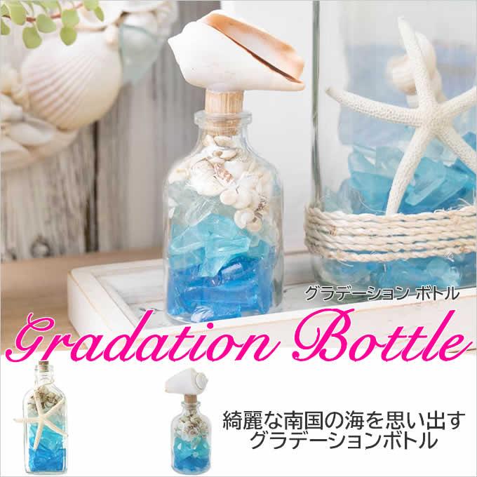 多色の貝殻 南の島 ゴージャスな置物 インテリア 多色の貝殻 南