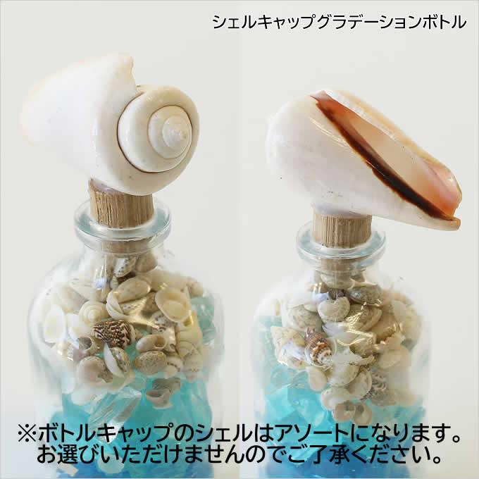 ハワイアン雑貨 グラデーションボトル 飾り 置物 貝殻 南国 海 マリン