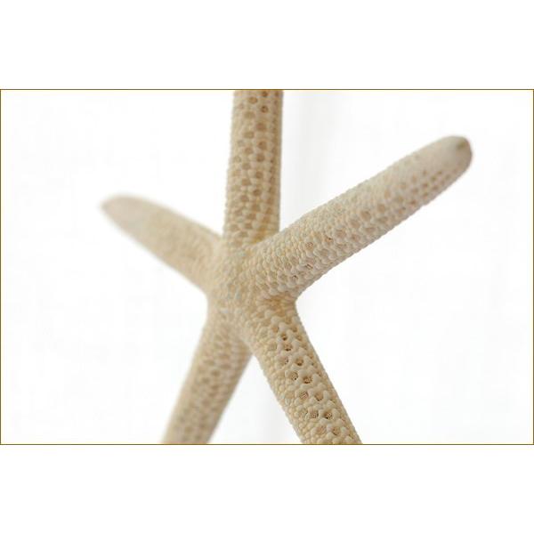 カピスリングオーナメント カピス貝 ヒトデ オーナメント モビール