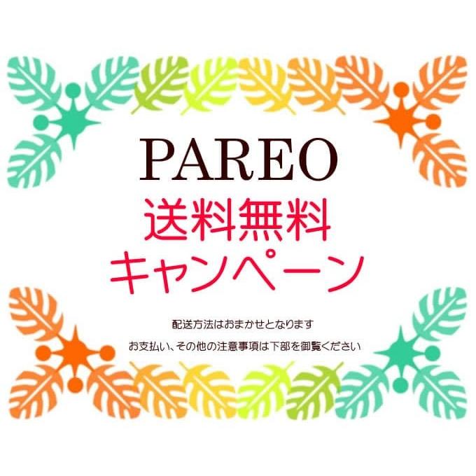 送料無料 パレオ サラサ-１５８ パレオ大判 アジアン雑貨 布 タヒチアン ダンス マルチカバー メール便OK ロミロミ サロン フラダンス ビーチ 水着｜nusa｜09