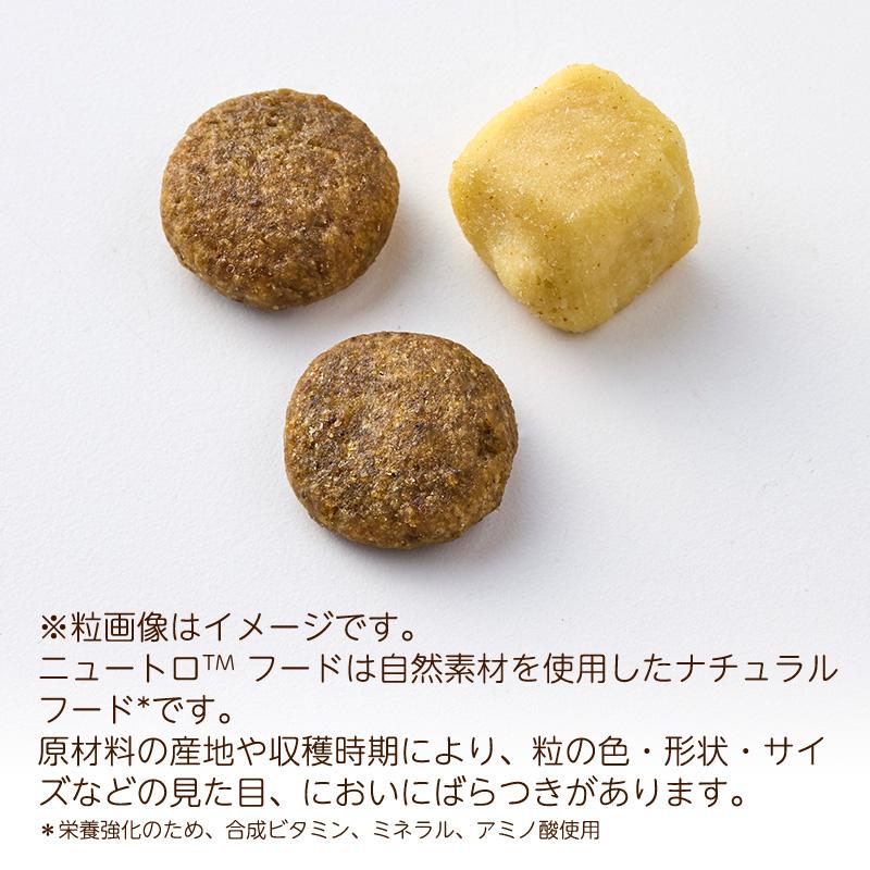 ニュートロ ワイルドレシピ フリーズドライチキン 1kg×3袋 ニュートロ ワイルドレシピ フリーズドライプラス アダルト チキン（成