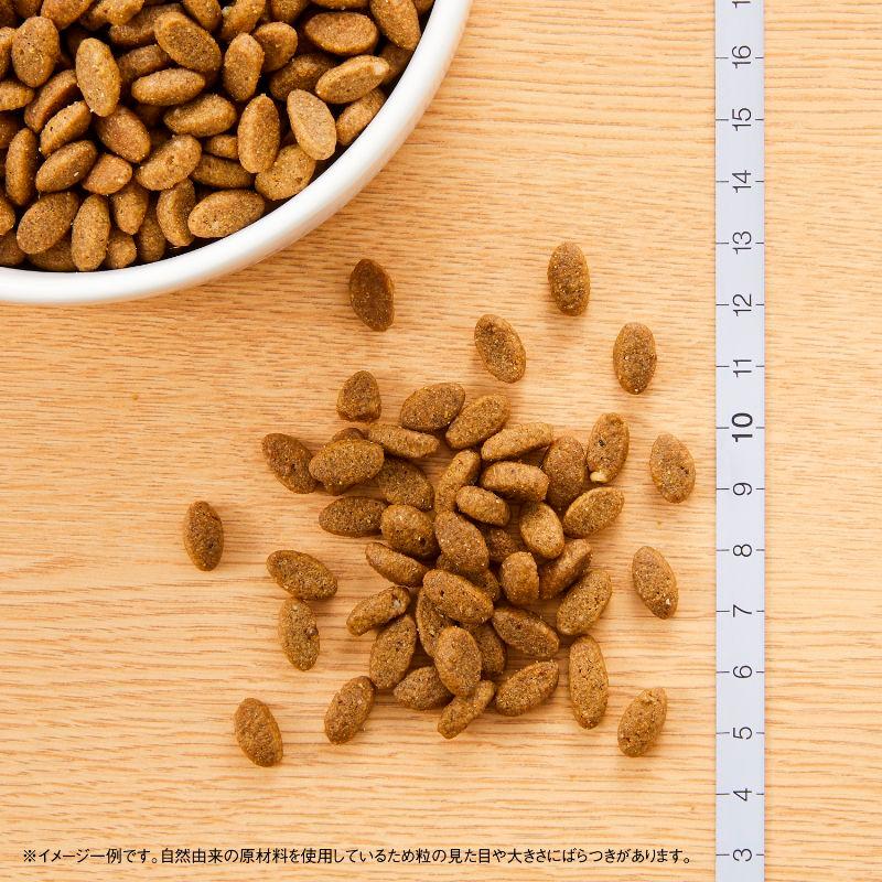 ナチュラルチョイス ニュートロ キャット アダルト サーモン (成猫用