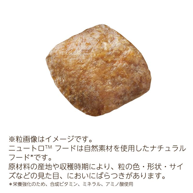 シュプレモ 2袋セット ニュートロ 子犬用 全犬種用 (小粒) [6kg×2袋