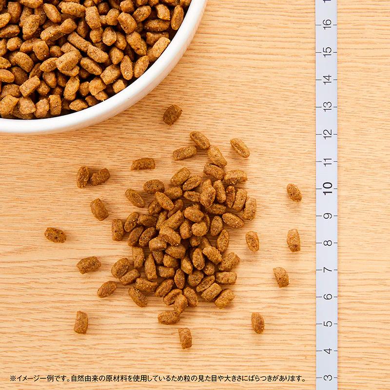 シュプレモ 2袋セット ニュートロ 子犬用 全犬種用 (小粒) [6kg×2袋